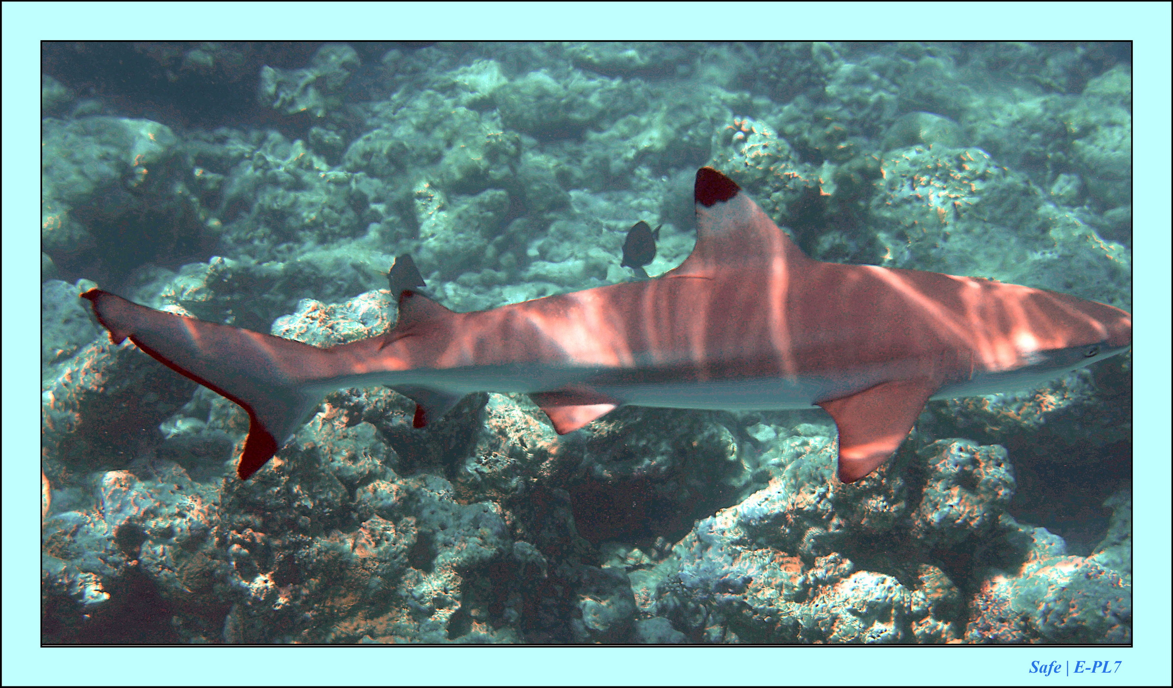 2023 - 07 - Sandies Bathala - 111